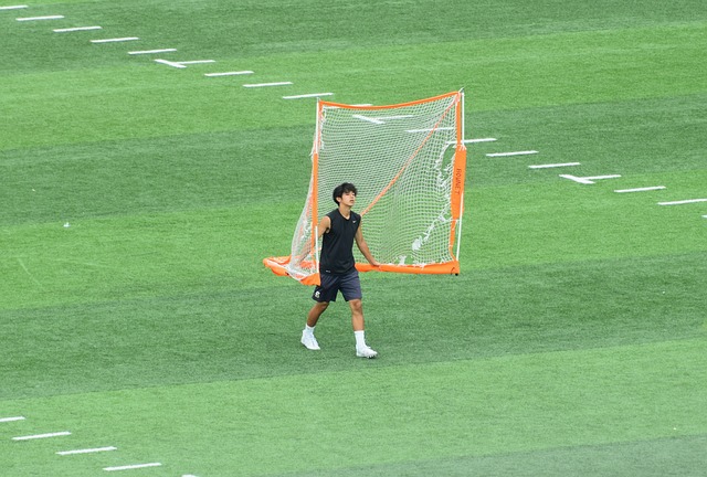其他参战球