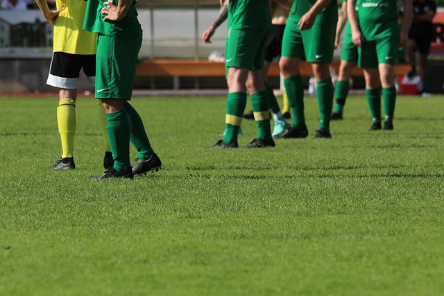 会增加其再 会增加其再