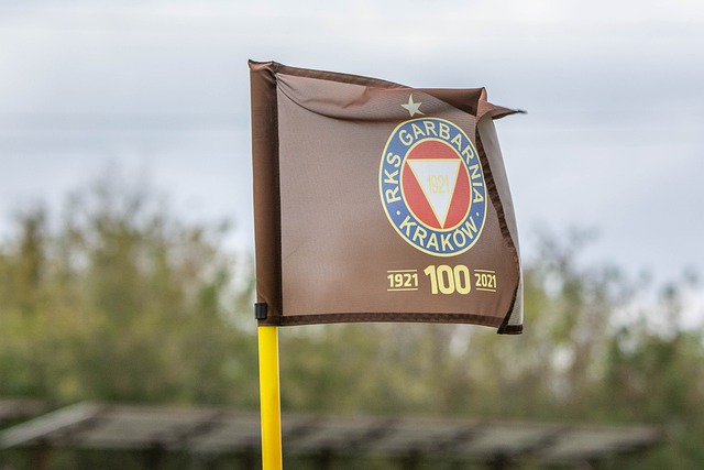 望恢复健康 望恢复健康