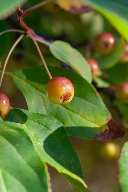 的进攻转化 的进攻转化